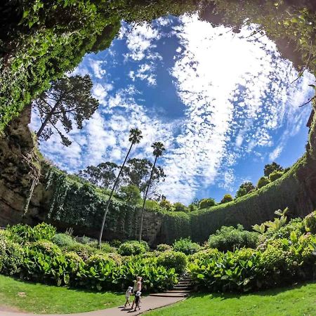 موتيل مونت غامبير Mt. Gambier Residency المظهر الخارجي الصورة